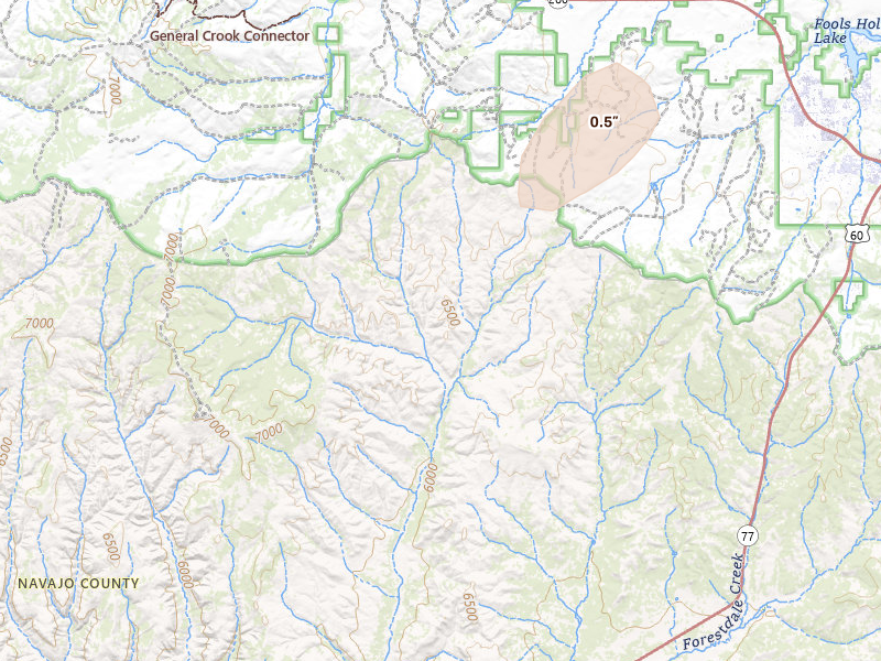 Radar-estimated hail-size map of the storm over Show Low, AZ on Aug 11, 2026