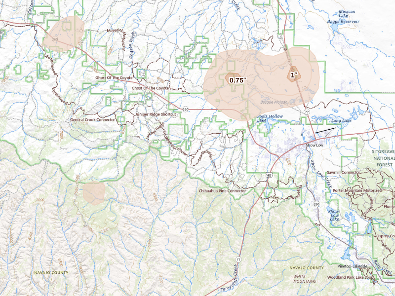 Radar-estimated hail-size map of the storm over Show Low, AZ on Sep 11, 2026