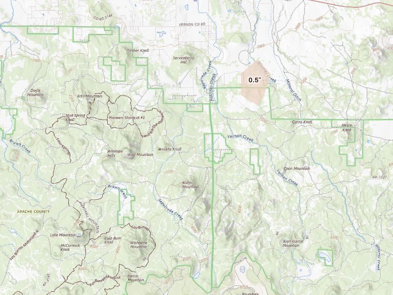 Radar-estimated hail-size map of the storm over Vernon, AZ