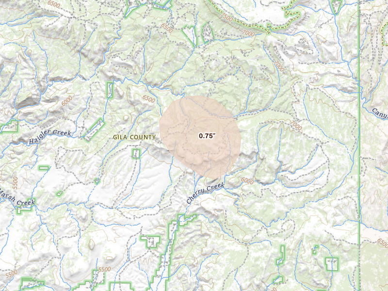 Radar-estimated hail-size map of the storm over Young, AZ on Aug 10, 2026