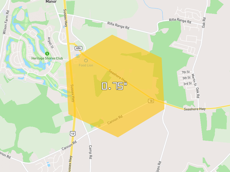 Hail map of Bridgeville, DE on Jul 5, 2026, hail up to 0.75"