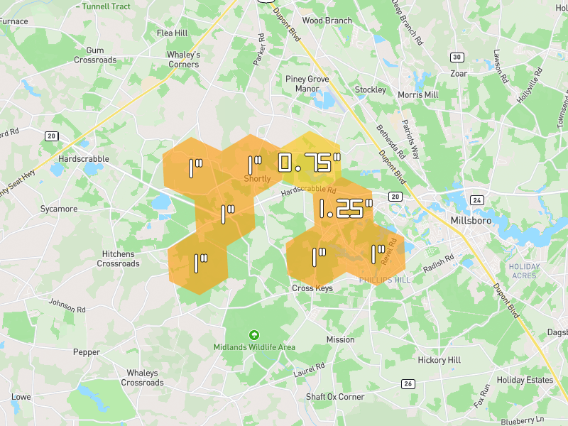 Hail map of Georgetown, DE on Jun 27, 2026, hail up to 1.25"