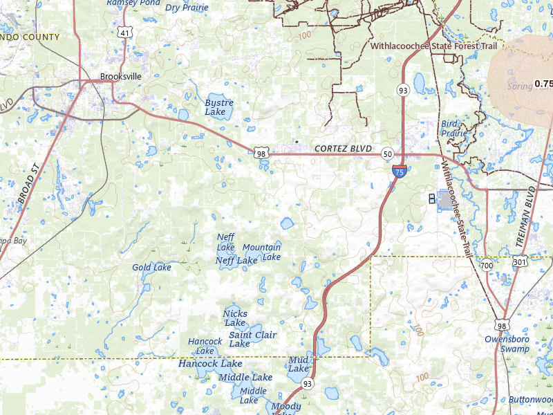Radar-estimated hail-size map of the storm over Brooksville, FL on Mar 5, 2026