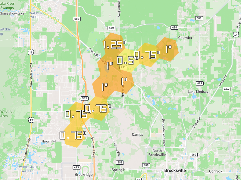 Hail map of Brooksville, FL on Jun 30, 2026, hail up to 1.25"