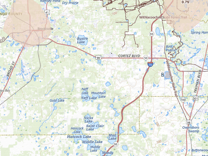 Radar-estimated hail-size map of the storm over Brooksville, FL on Jul 10, 2026