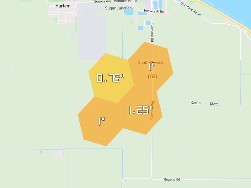 Hail map of Clewiston, FL on Jun 3, 2026, hail up to 1.25"