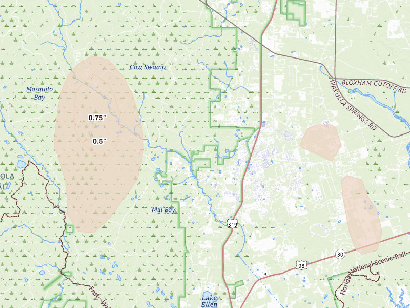 Radar-estimated hail-size map of the storm over Crawfordville, FL on Jul 27, 2026