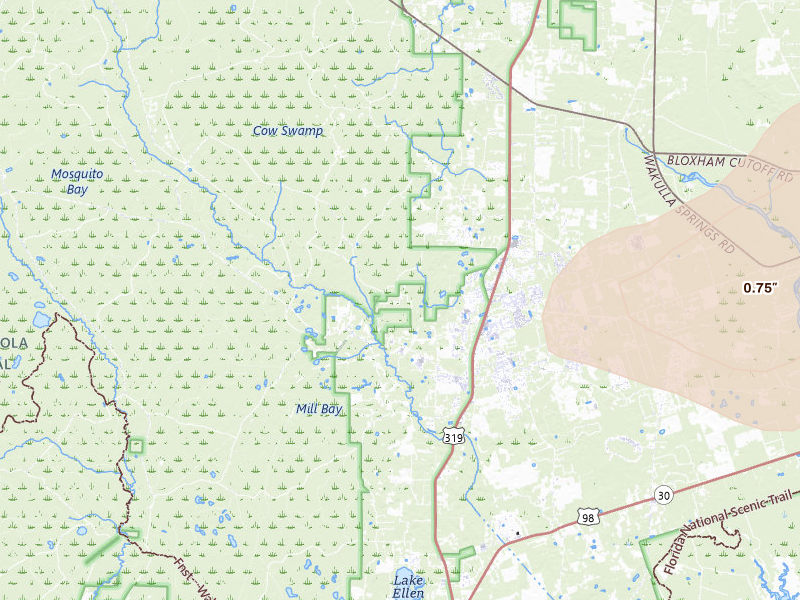 Radar-estimated hail-size map of the storm over Crawfordville, FL on Jul 29, 2026