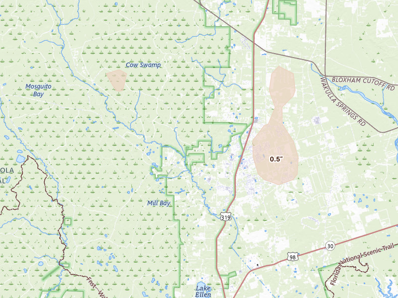 Radar-estimated hail-size map of the storm over Crawfordville, FL on Jul 30, 2026