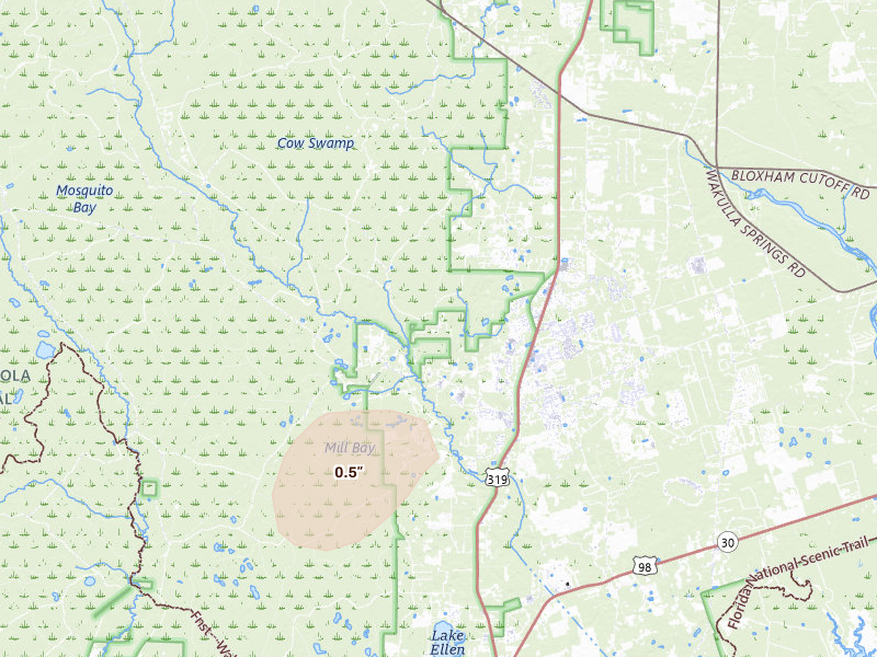 Radar-estimated hail-size map of the storm over Crawfordville, FL on Aug 17, 2026