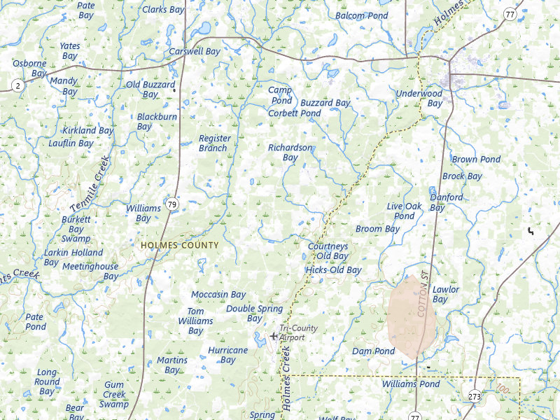 Radar-estimated hail-size map of the storm over Graceville, FL on Jul 29, 2026