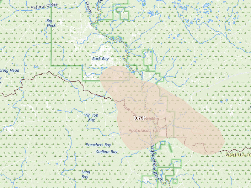 Radar-estimated hail-size map of the storm over Hosford, FL on Jul 29, 2026