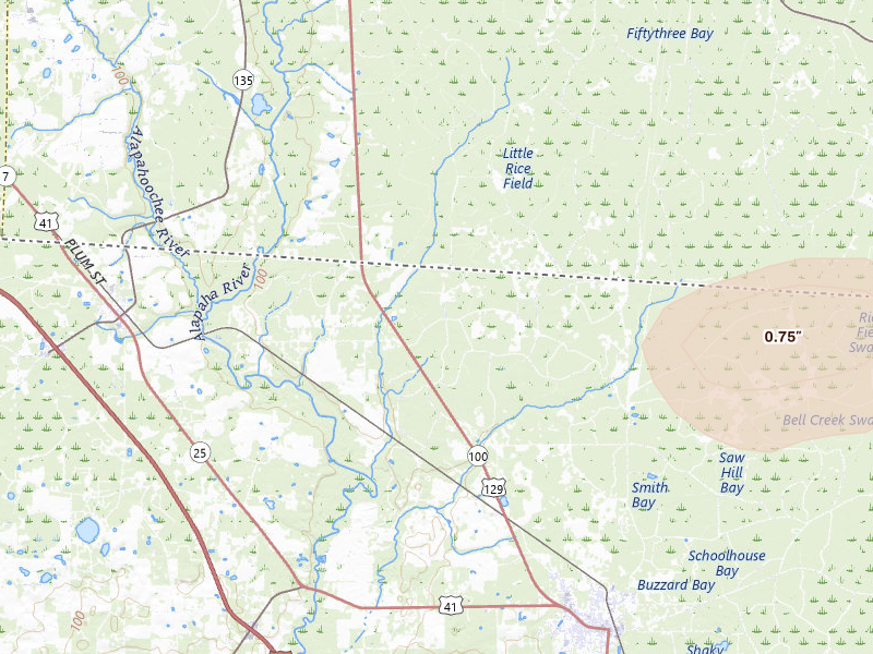 Radar-estimated hail-size map of the storm over Jasper, FL on Jul 29, 2026