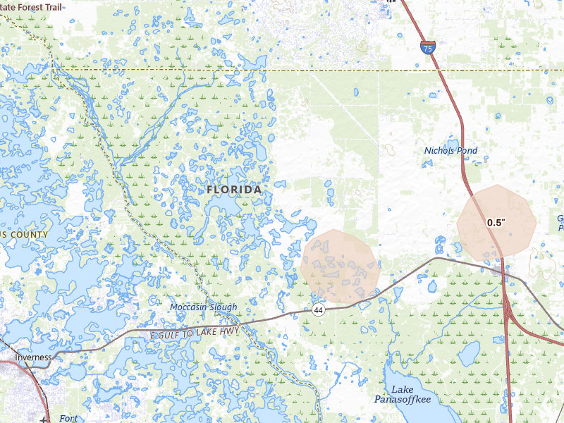 Radar-estimated hail-size map of the storm over Lake Panasoffkee, FL on Mar 5, 2026