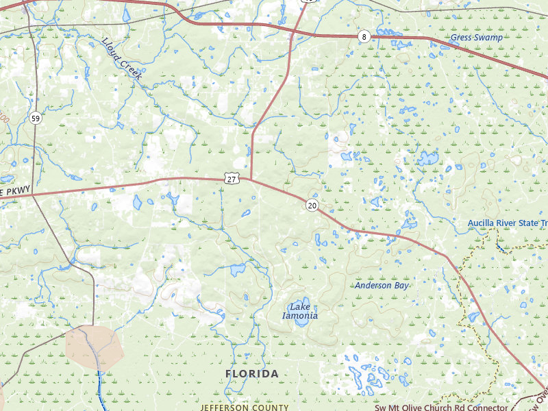 Radar-estimated hail-size map of the storm over Lamont, FL on Jul 29, 2026