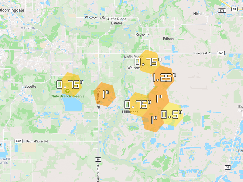Hail map of Lithia, FL on Jun 30, 2026, hail up to 1.25"