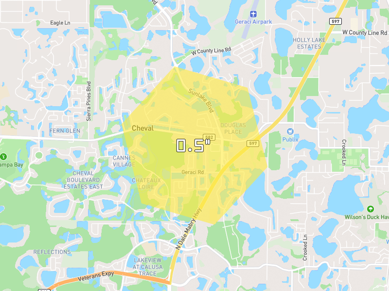 Hail map of Lutz, FL on Jun 27, 2026, hail up to 0.5"
