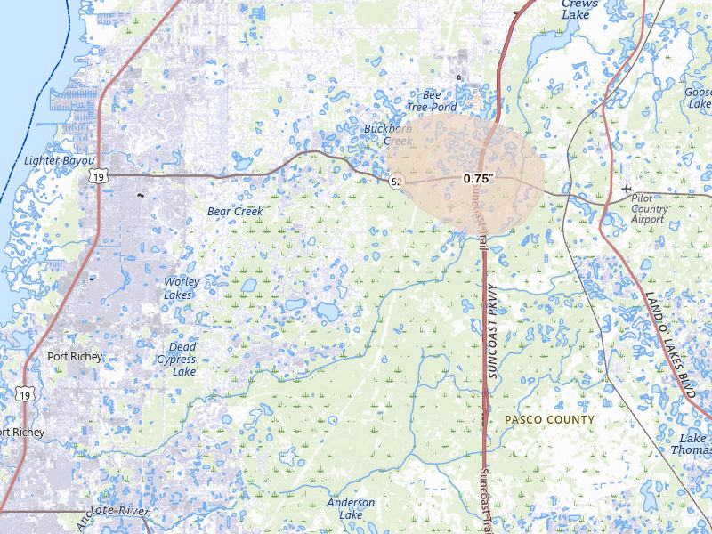 Radar-estimated hail-size map of the storm over New Port Richey, FL on Aug 29, 2026