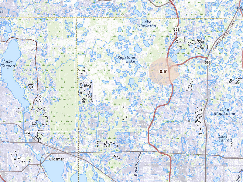 Radar-estimated hail-size map of the storm over Odessa, FL