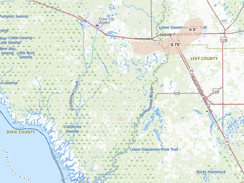 Radar-estimated hail-size map of the storm over Old Town, FL on Mar 6, 2026