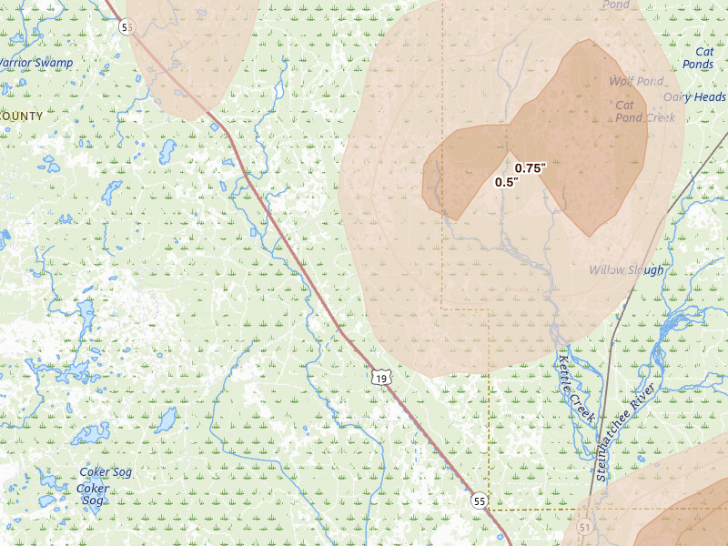 Radar-estimated hail-size map of the storm over Salem, FL on Jul 17, 2026