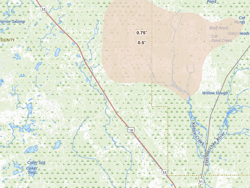 Radar-estimated hail-size map of the storm over Salem, FL on Jul 30, 2026