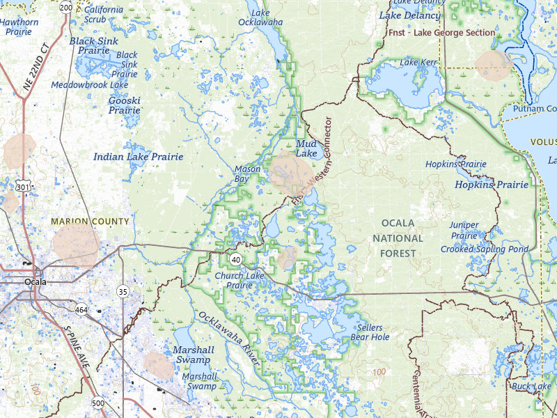 Radar-estimated hail-size map of the storm over Silver Springs, FL on Aug 19, 2026