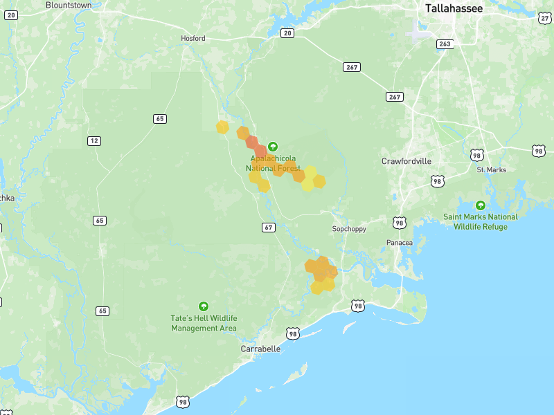 Hail map of Sopchoppy, FL on Jul 29, 2026, hail up to 1.5"