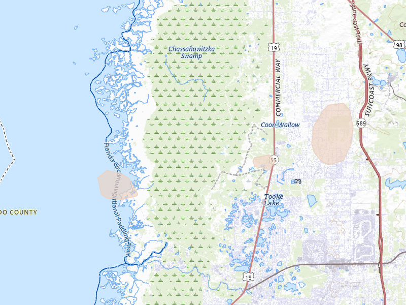 Radar-estimated hail-size map of the storm over Spring Hill, FL on Aug 19, 2026
