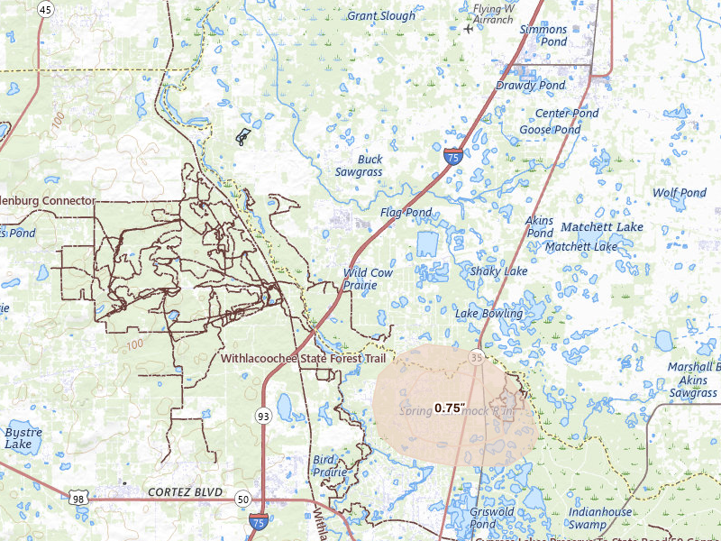 Radar-estimated hail-size map of the storm over Webster, FL on Mar 5, 2026