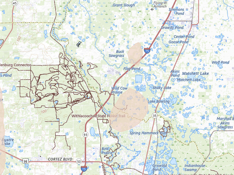 Radar-estimated hail-size map of the storm over Webster, FL on Mar 15, 2026