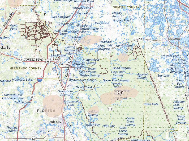 Radar-estimated hail-size map of the storm over Webster, FL on Jun 24, 2026