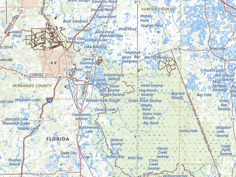 Radar-estimated hail-size map of the storm over Webster, FL on Jun 25, 2026