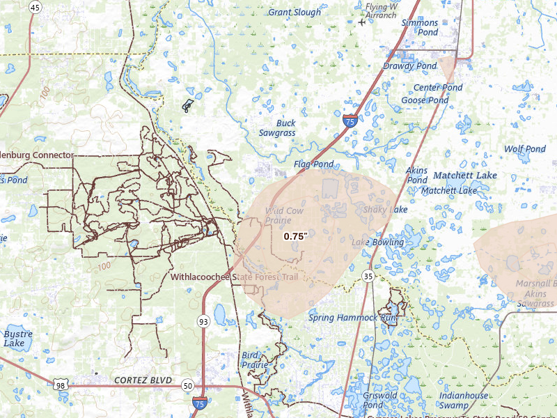 Radar-estimated hail-size map of the storm over Webster, FL on Jul 10, 2026