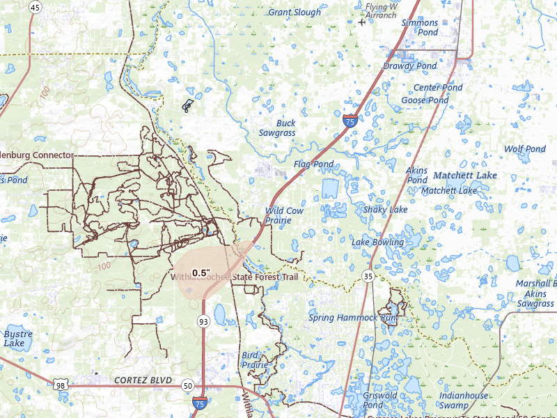 Radar-estimated hail-size map of the storm over Webster, FL on Aug 11, 2026
