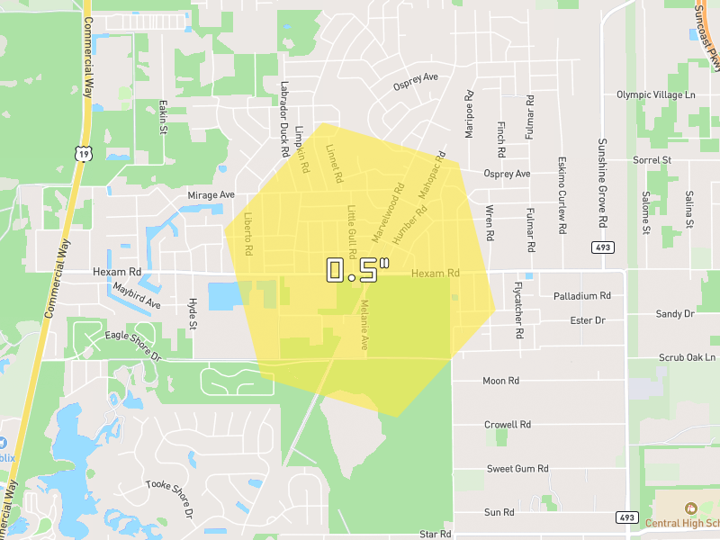 Hail map of Weeki Wachee, FL on Jul 11, 2026, hail up to 0.5"