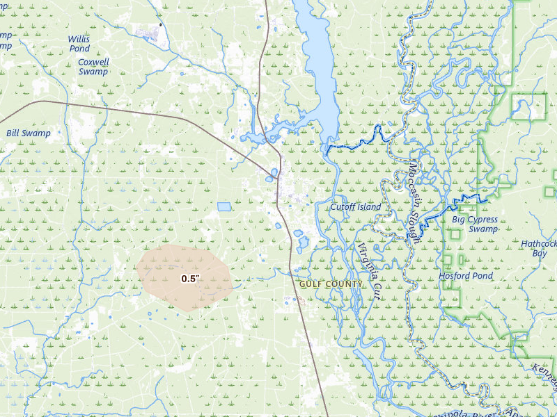Radar-estimated hail-size map of the storm over Wewahitchka, FL on Jun 1, 2026