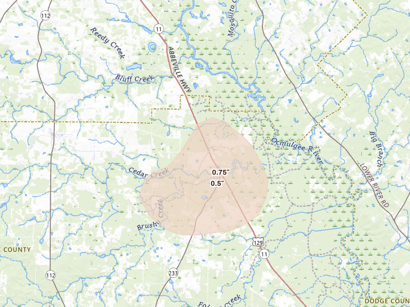 Radar-estimated hail-size map of the storm over Abbeville, GA on Aug 12, 2026