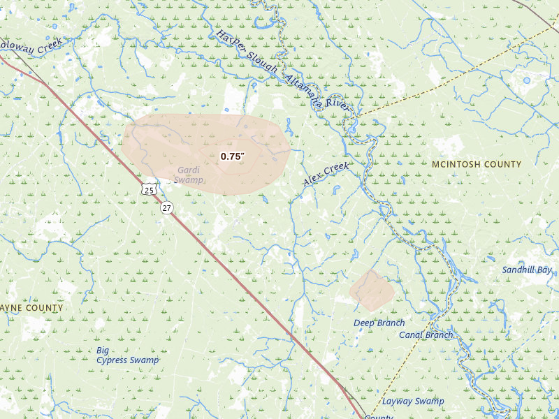 Radar-estimated hail-size map of the storm over Jesup, GA on Jun 20, 2026