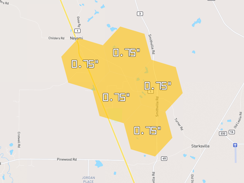 Hail map of Leesburg, GA on Jul 25, 2026, hail up to 0.75"