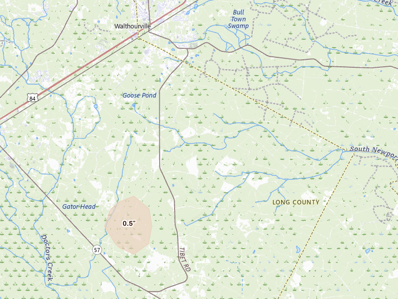 Radar-estimated hail-size map of the storm over Ludowici, GA on Jul 24, 2026