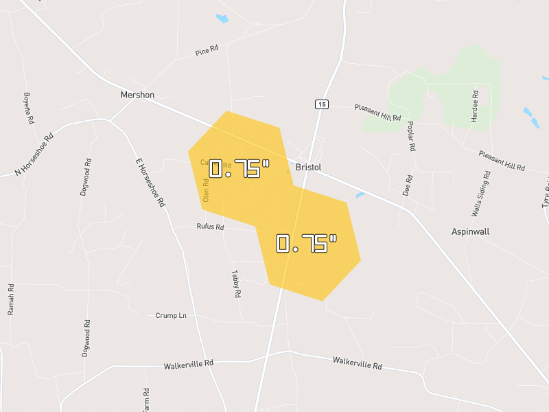 Hail map of Mershon, GA on Jul 29, 2026, hail up to 0.75"