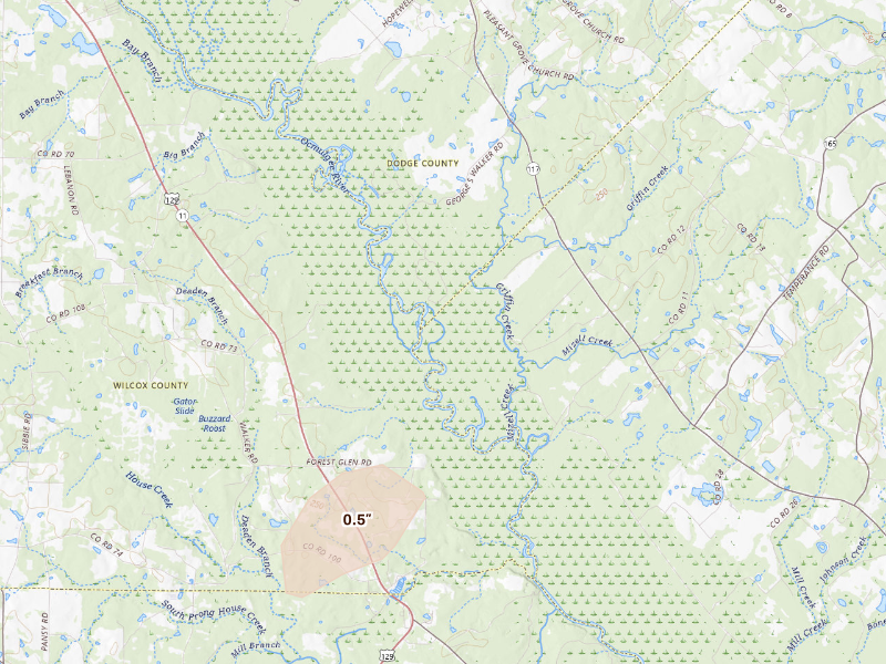 Radar-estimated hail-size map of the storm over Rhine, GA
