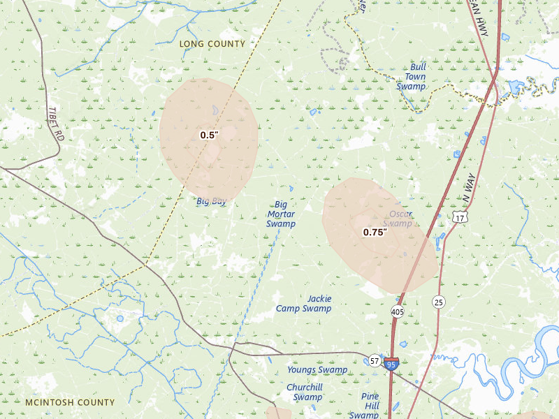 Radar-estimated hail-size map of the storm over Riceboro, GA