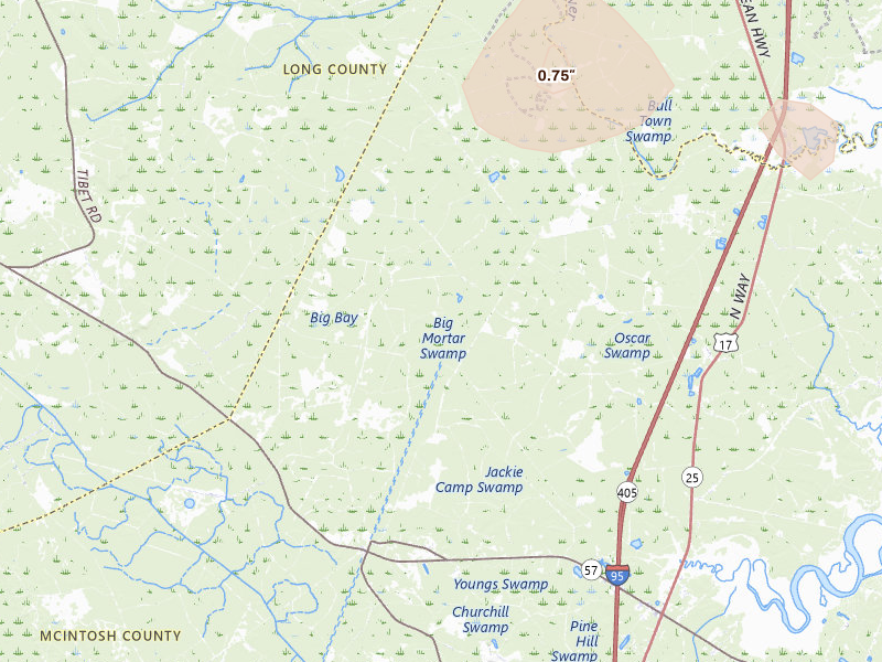 Radar-estimated hail-size map of the storm over Riceboro, GA on Jul 12, 2026