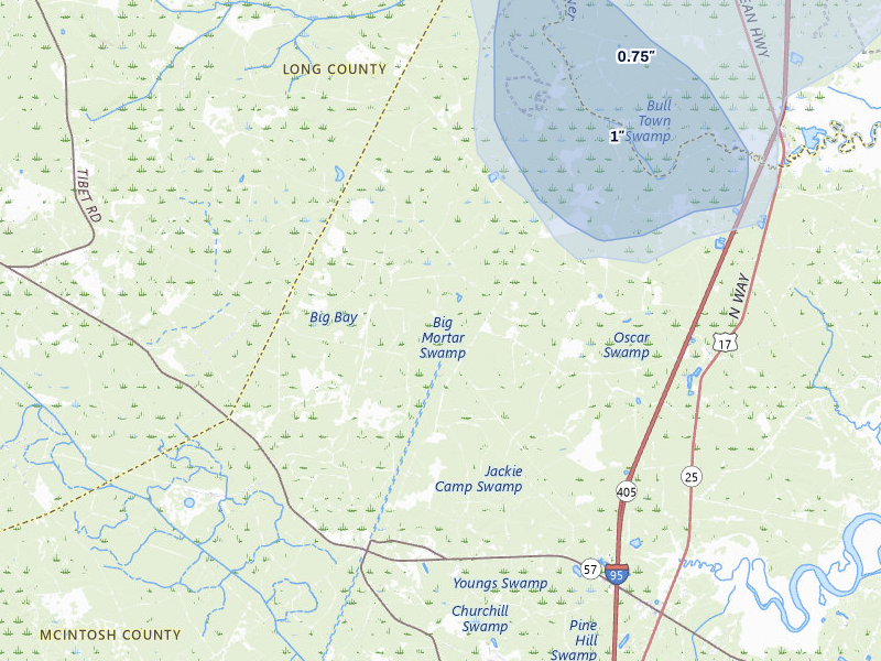 NEXRAD radar-signature map of the hail over Riceboro, GA