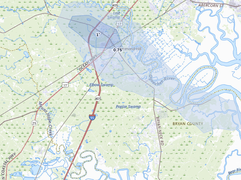 NEXRAD radar-signature map of the hail over Richmond Hill, GA