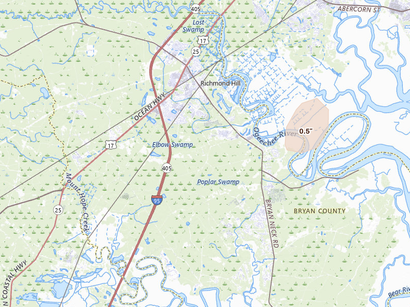 Radar-estimated hail-size map of the storm over Richmond Hill, GA on Jul 11, 2026