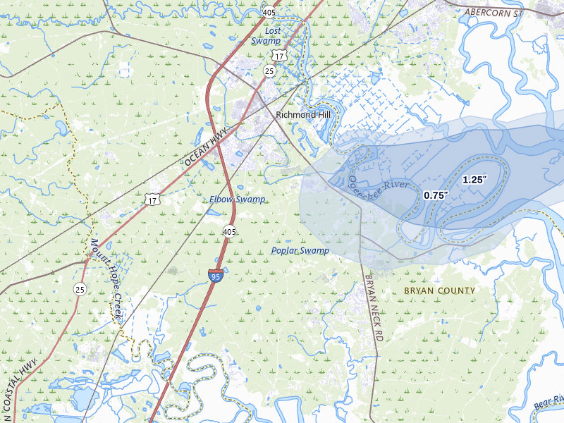 NEXRAD radar-signature map of the hail over Richmond Hill, GA