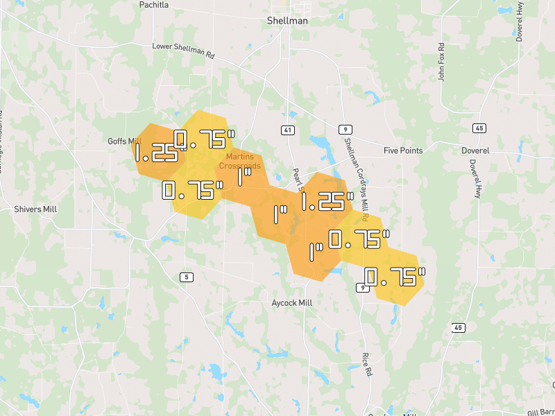 Hail map of Shellman, GA on Jul 29, 2026, hail up to 1.25"